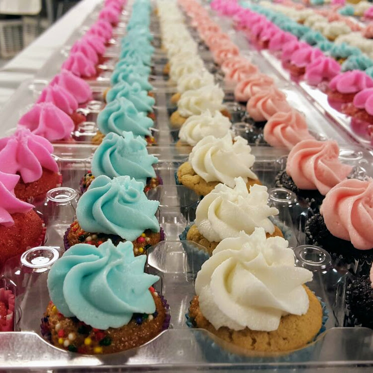 An Introduction to Mini Cakes: Varieties, Recipes, and Presentation Suggestions