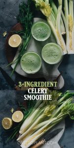 Healthy Celery Smoothie Recipe