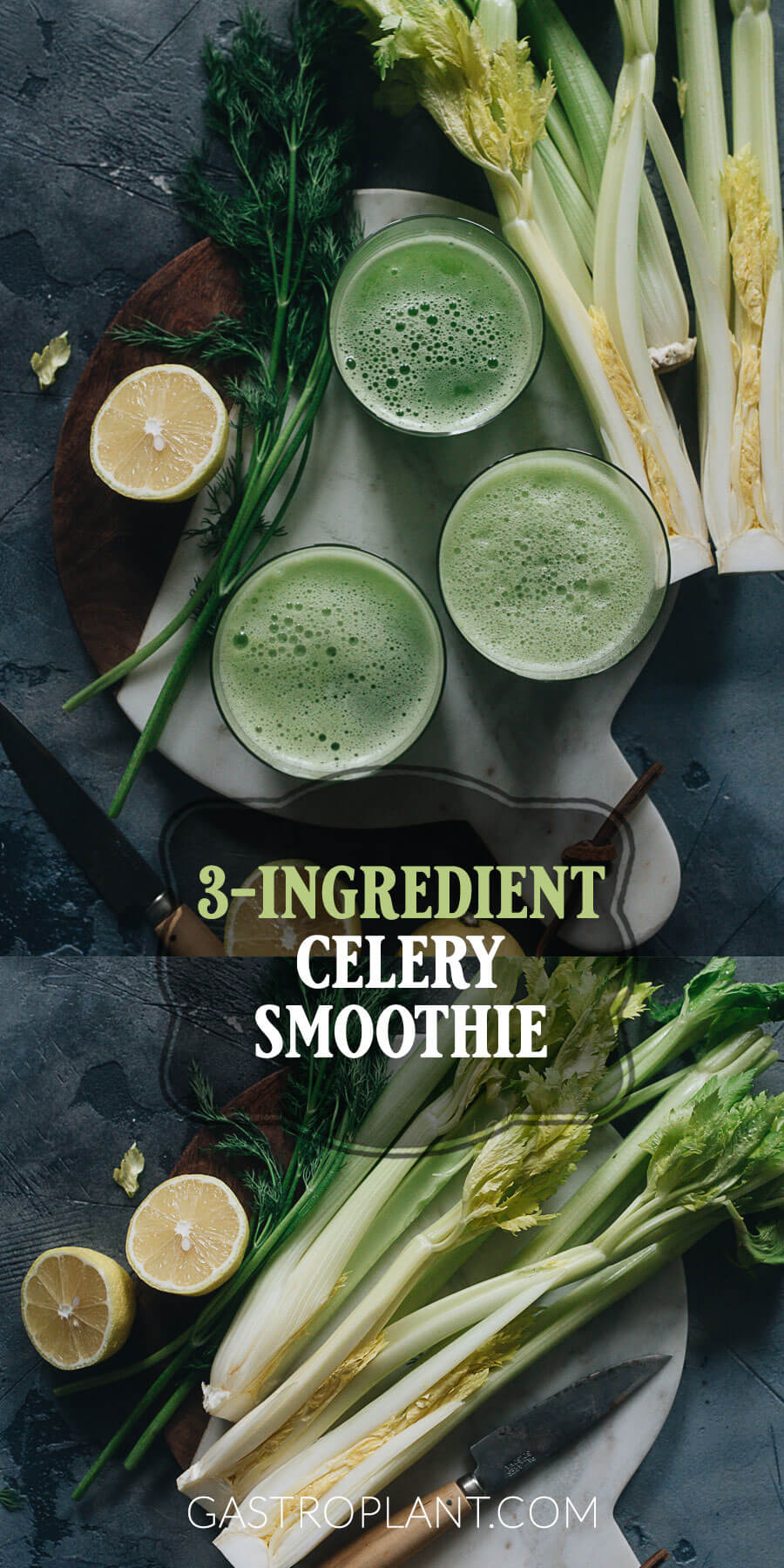 Healthy Celery Smoothie Recipe
