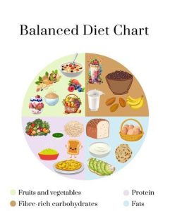 High Protein Nutrition: A 7-Day Eating Schedule