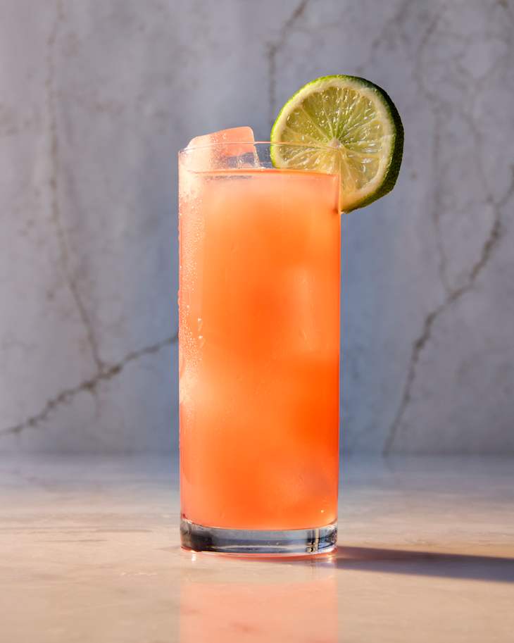 head on shot of a single greyhound cocktail