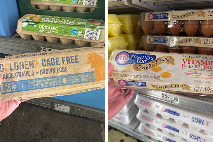 Aldi vs. Publix eggs.