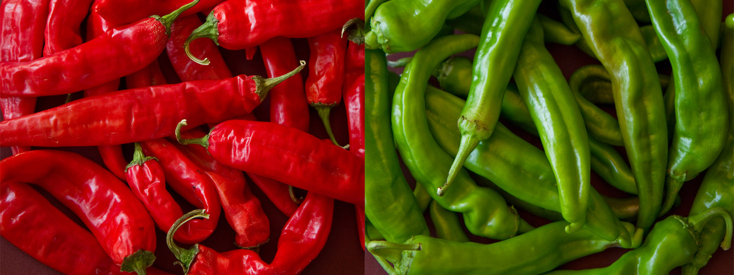 A Journey through New Mexico's Best Green Chile Cheeseburgers