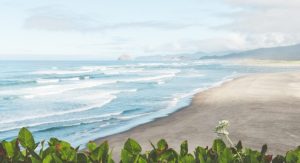 Discovering Neskowin: An Overview of the Oregon Coast Locale
