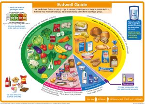 High Protein Diet Plan: A Week-Long Guide