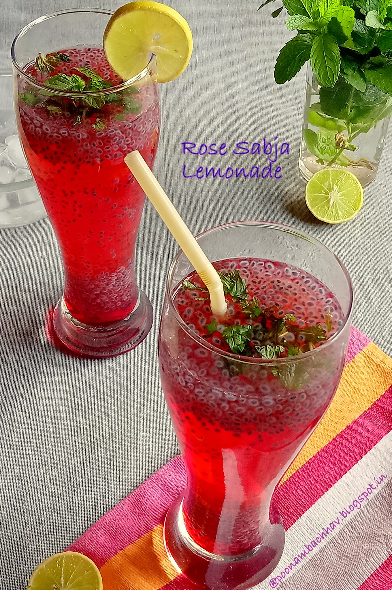 Sabja Seed Lemonade Formula