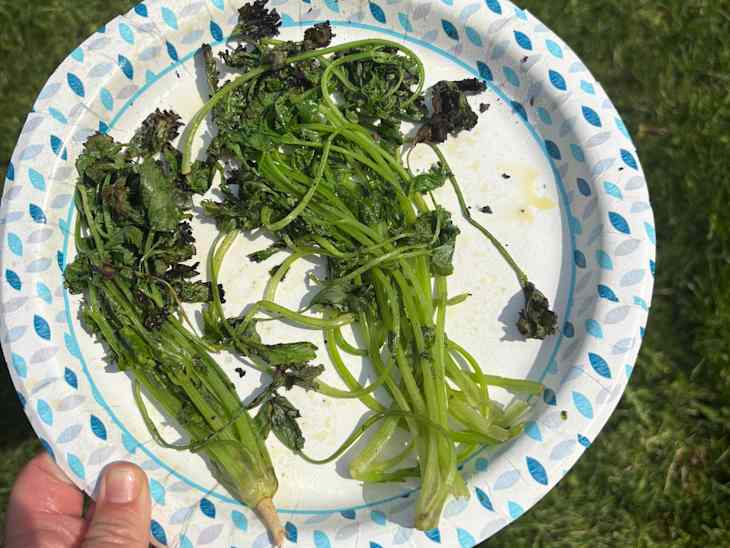 A hand holding a paper plate with cooked greens, including long green stems and dark, crispy leaves, on grass.