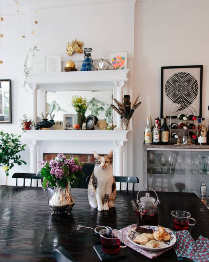 11 Things Every New Cat Owner Should Know