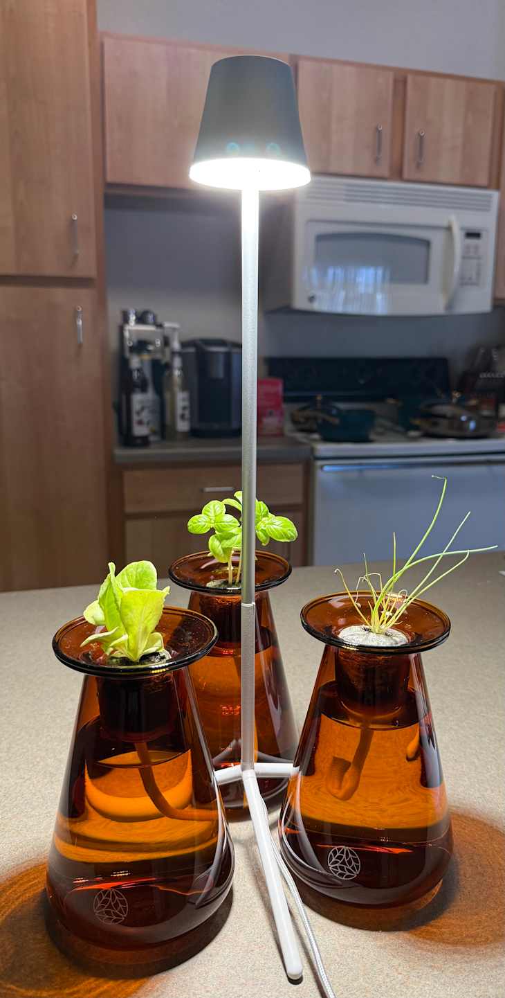 Counterstand Set on kitchen counter.