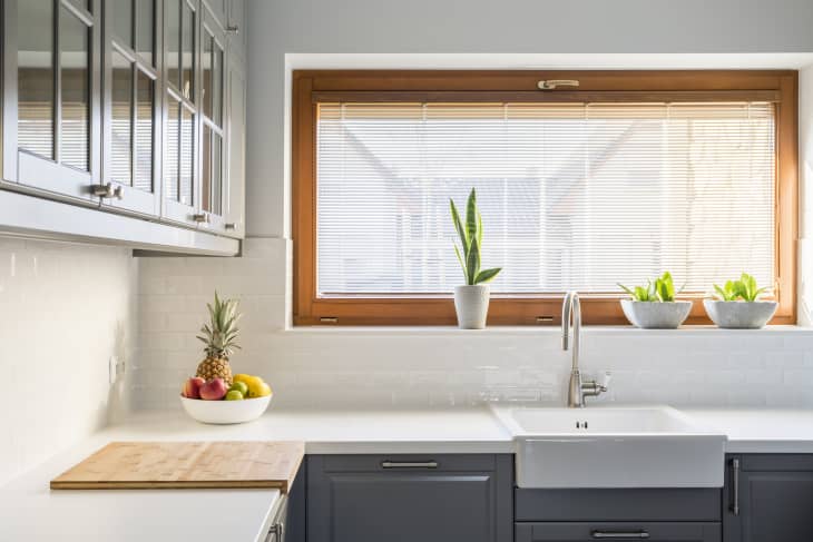 I Havenât Seen a Bug in My Kitchen in Years, Thanks to This Zero-Effort Trick