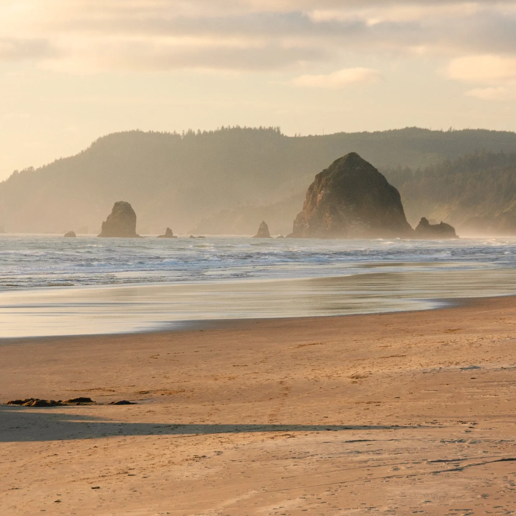 Informative Handbook for Exploring Neskowin on the Oregon Coast