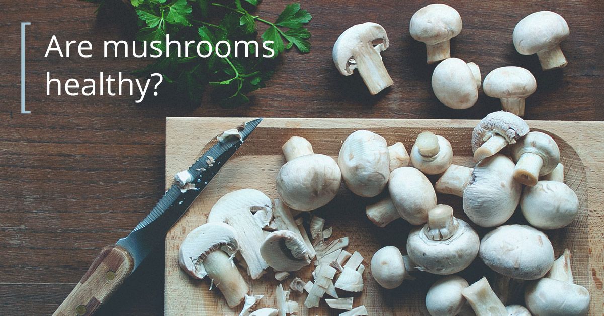 Nutritional and Culinary Handbook for Maitake Mushrooms