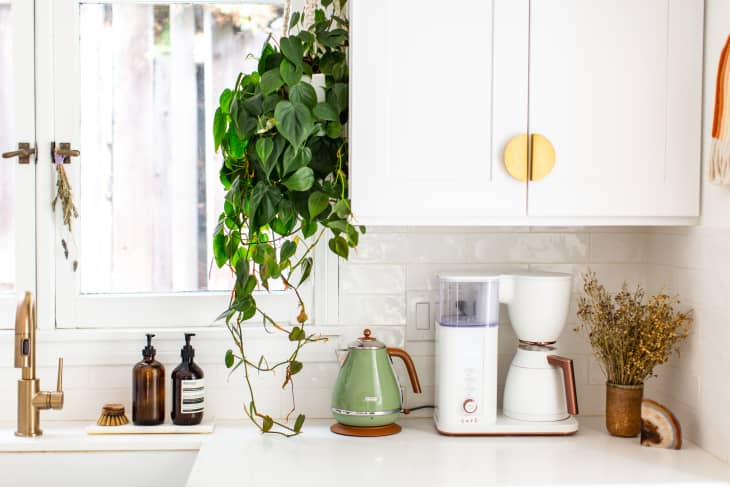 Kitchen counter with green kettle, white coffee maker, potted plant, amber soap bottles, and dried flowers near a window.