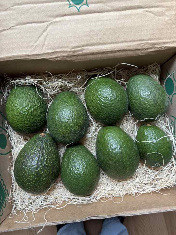 A cardboard box filled with eight green avocados resting on shredded paper.