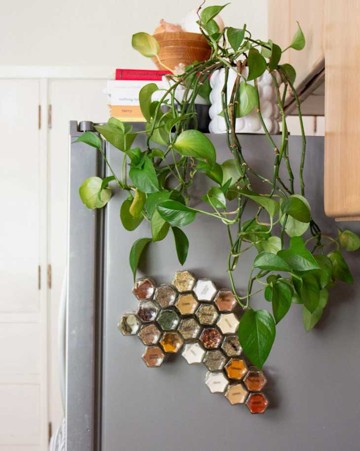 Magnetic spice jars on refrigerator.