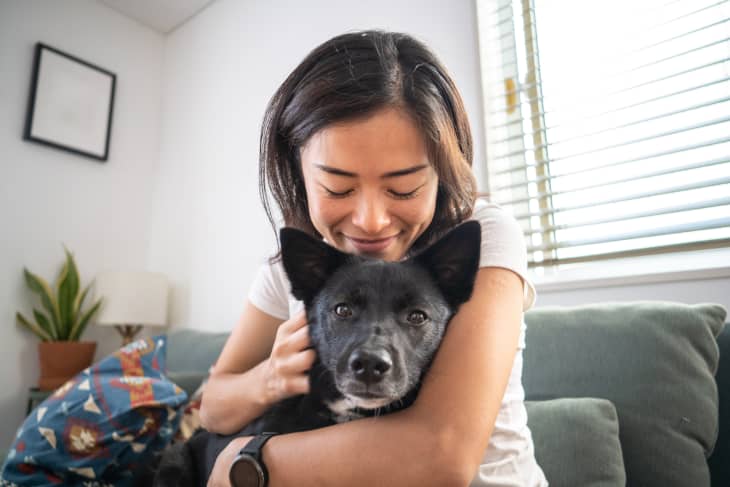 The Best Dog Food Alternatives to Kibble, According to a Vet
