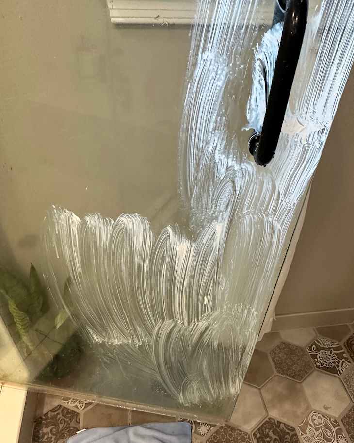 Cleaning product on shower door.