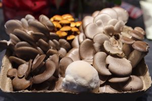 Vegan Caesar Salad featuring Oyster Mushrooms