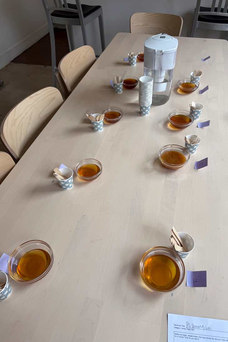 Honey taste testing.