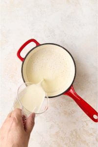 An In-Depth Manual for Pistachio Milk