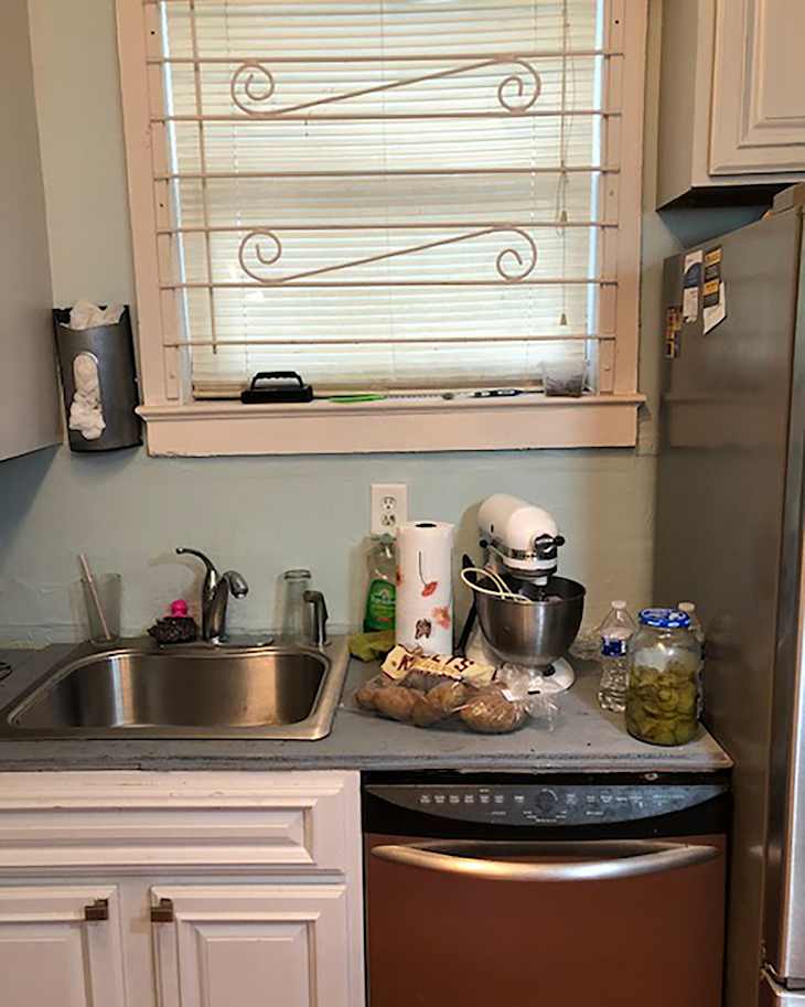 Small kitchen corner with a stainless steel sink, mixing bowl, and jars of pickles, alongside a dishwasher and a window.