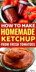 How to Prepare Ketchup at Home
