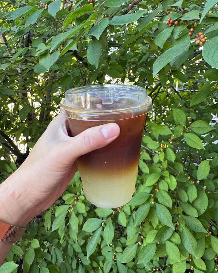A hand holding a clear cup of layered iced coffee against a backdrop of green leaves.
