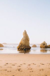 Informative Resource for Exploring Neskowin on the Oregon Coast
