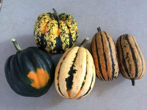 Insightful Manual for Oven-Roasting Acorn Squash to Achieve Ideal Caramelization