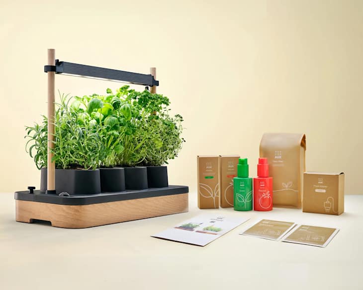 The Auk Mini for indoor herb gardening