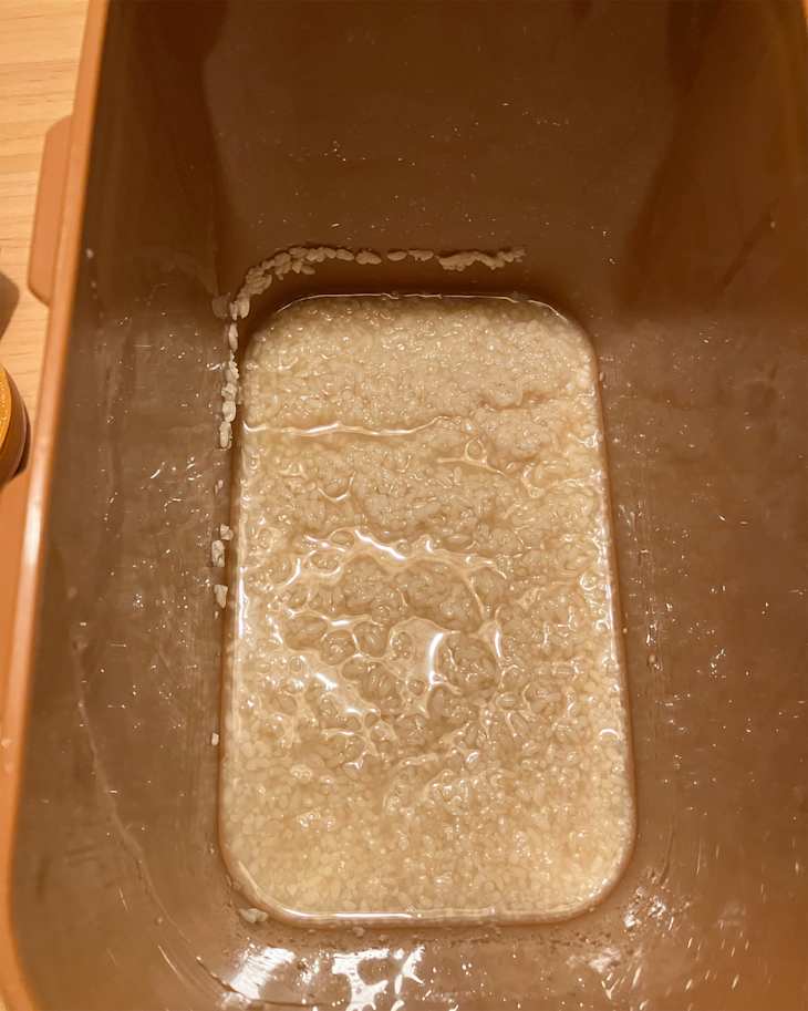Rice Koji soaking in water.