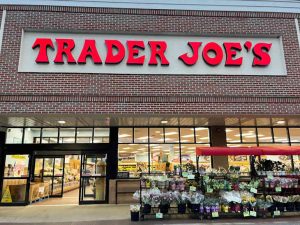Trader Joeâs Just Brought Back Its Beloved Mini Decor Gem and Itâs 100x Cuter This Fall