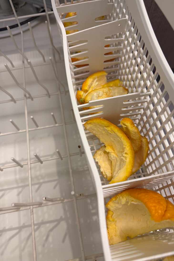 Dishwasher before being cleaned with Orange peels.