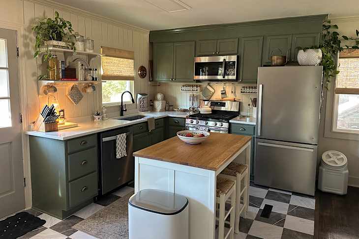 Modern kitchen with green cabinets, stainless steel appliances, a wooden island, and decorative plants on shelves.