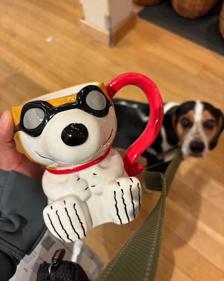 I Finally Got the Adorable Snoopy Mug Thatâs Been on My Wish List for Months