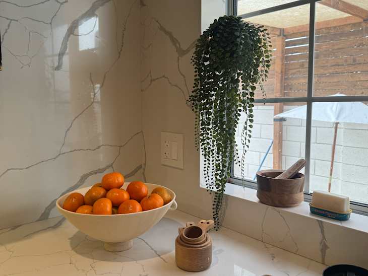 Toilet paper holder mounted on inside of kitchen window filled with house plant.