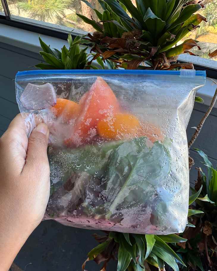 A hand holding a ziplock bag containing frozen veggies and leafy greens, with condensation on the bag.