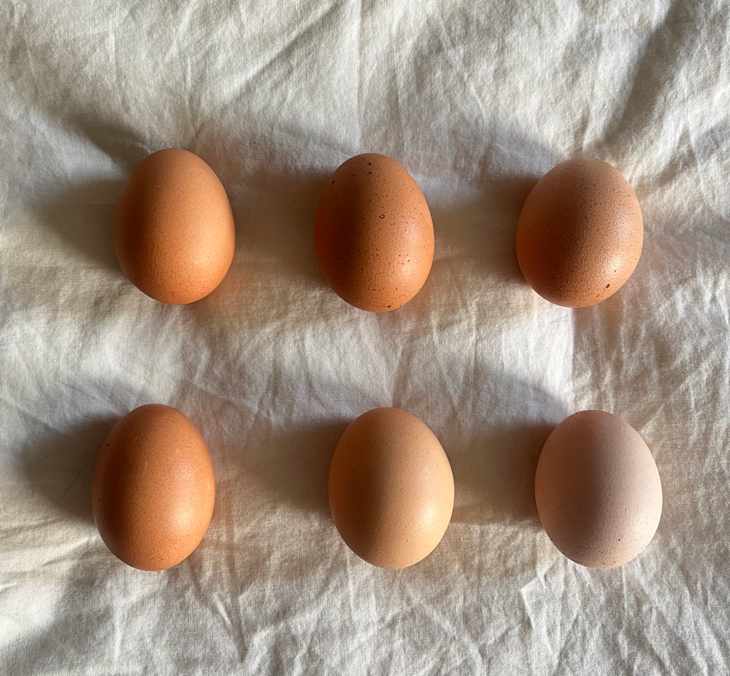 Six eggs of varying shades of brown and one pale egg arranged on a light fabric surface.