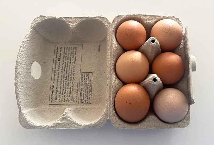 A carton containing six eggs in various shades of brown, with nutrition facts printed on the inside.