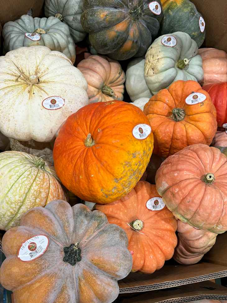 Pumpkins for sale at Costco.