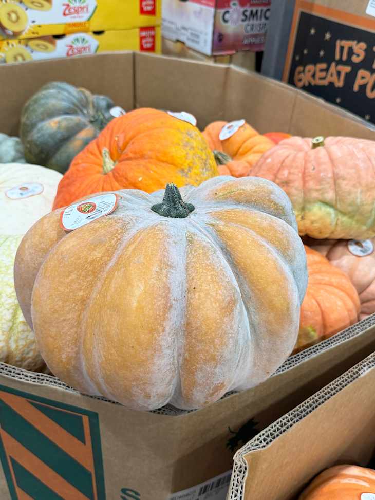 Pumpkins for sale at Costco.