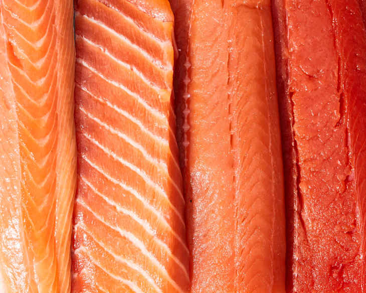 different types of salmon close up