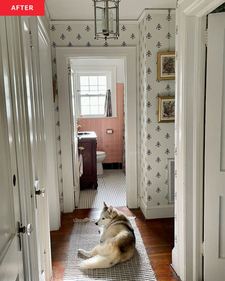 A dog sits in a newly renovated hallway with floral wallpaper.