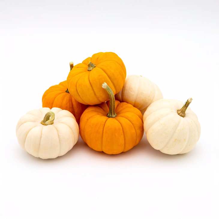 Mixed Ornamental Pumpkins at Target
