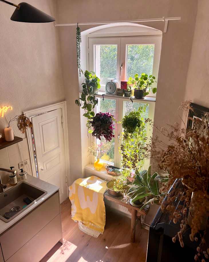 Cozy kitchen corner with a sink, yellow patterned blanket, and various hanging plants by a sunny window.