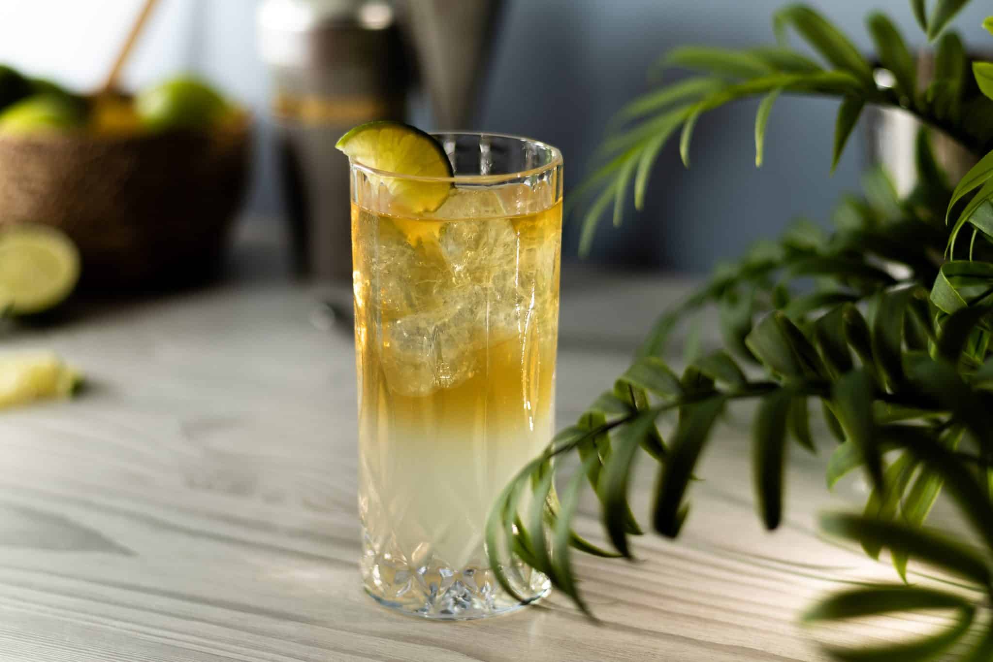 Essential Rum Cocktails: 21 Essential Recipes You Should Know