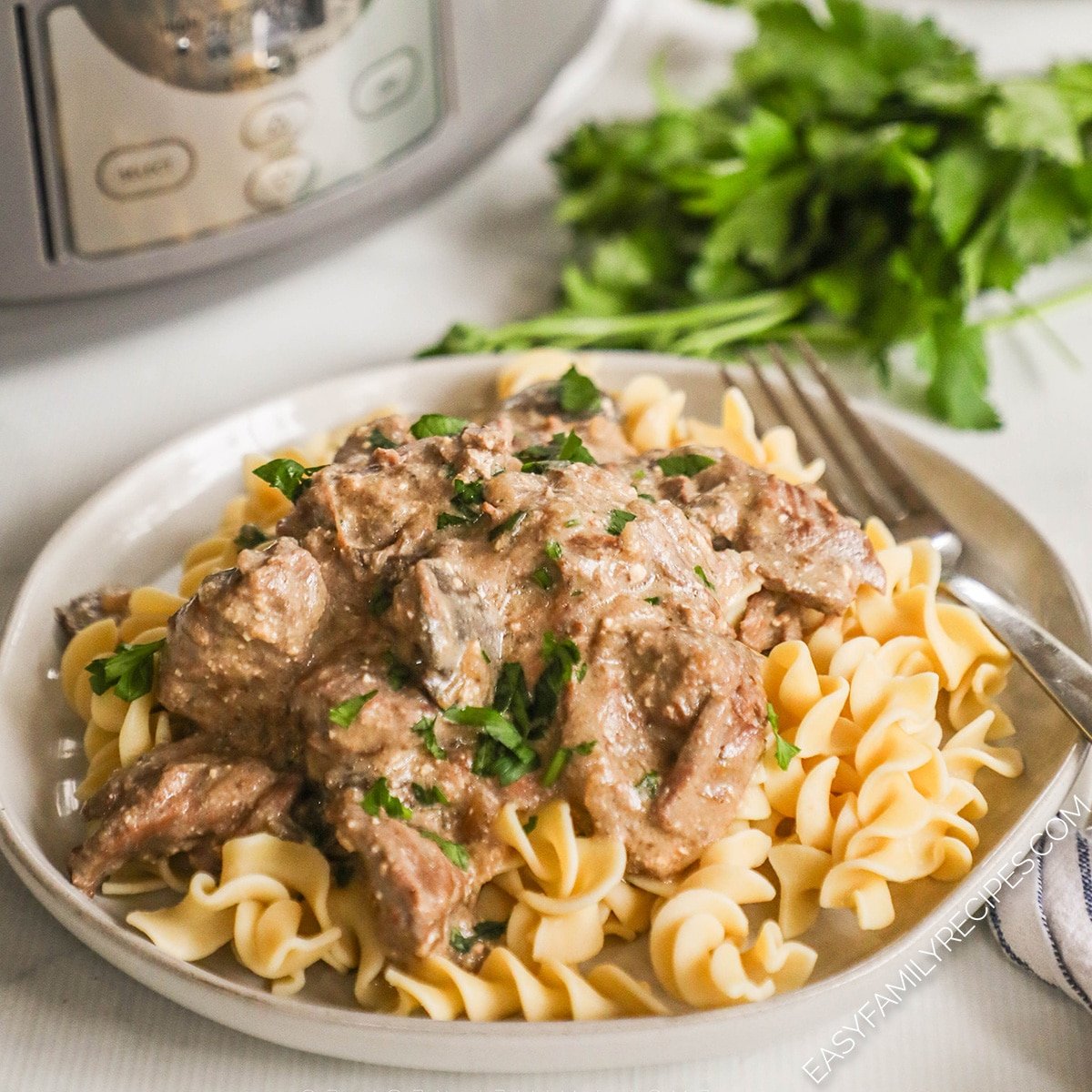 Simple Slow Cooker Beef Stroganoff Recipe