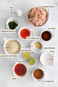 Ground Chicken with Sweet Chili Sauce