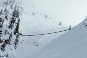 Key Reasons to Ski at Kicking Horse Resort