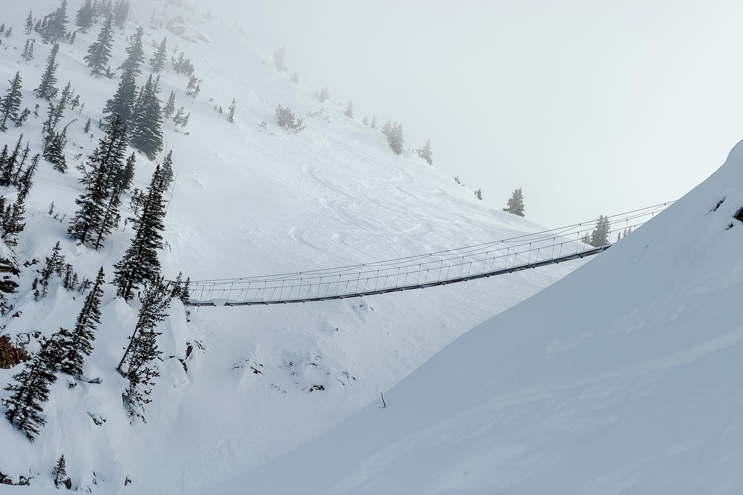 Key Reasons to Ski at Kicking Horse Resort